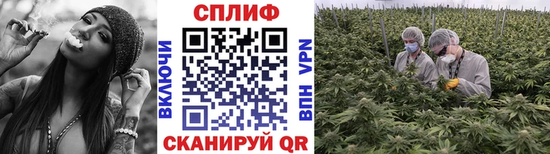 Купить Борзя COCAIN  МАРИХУАНА  Alpha-PVP  Гашиш  Мефедрон 