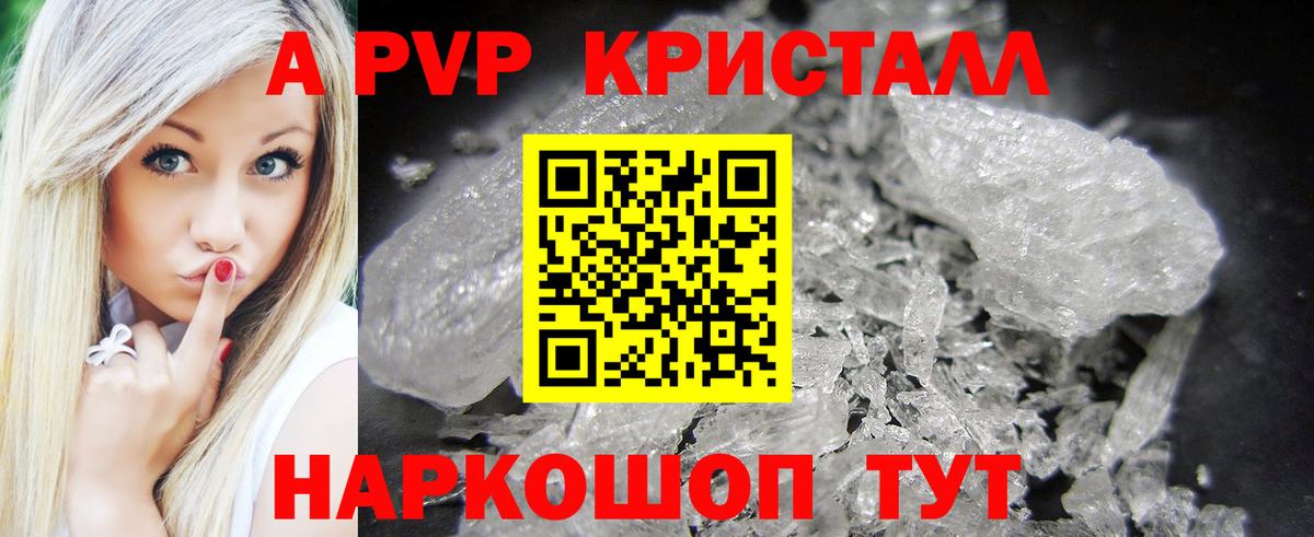 Борзя  Альфа ПВП крисы CK  A-PVP крисы CK  Вход с VPN 