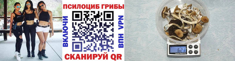 Галлюциногенные грибы Psilocybe даркнет Telegram Борзя
