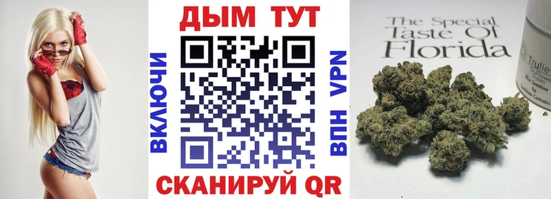 продажа наркотиков  Борзя  Конопля планчик 